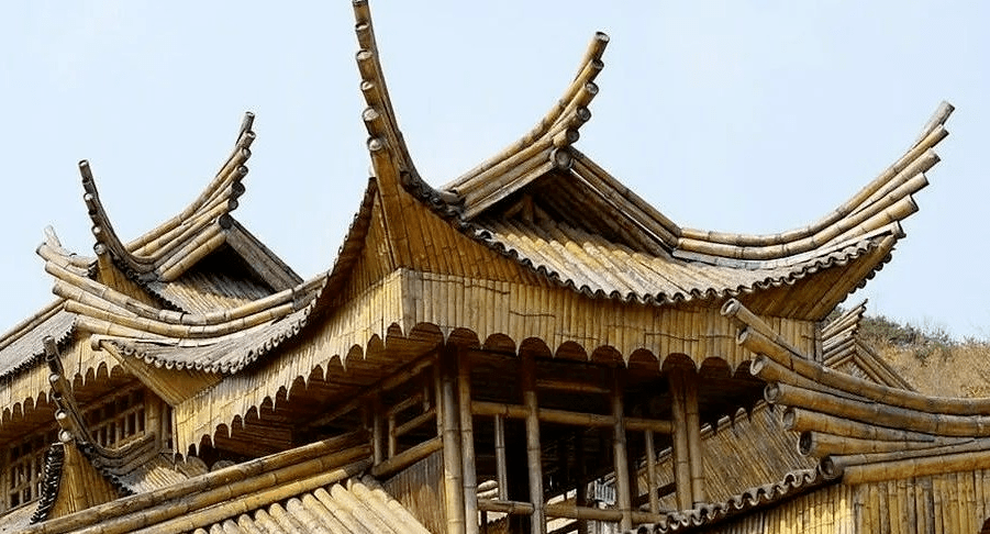 10米的毛竹价格