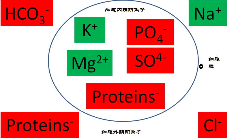 生理状态下,人血清(细胞外液)钠离子浓度在135~145mmol /升之间,低于