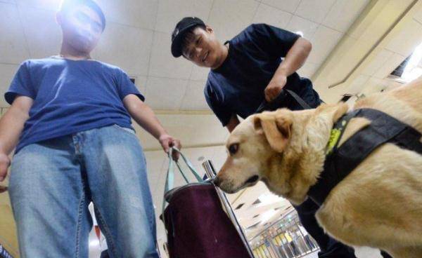 上海地铁站警犬卖萌求抱抱,警官摸脸好温柔,地铁警犬一般是什么品种?