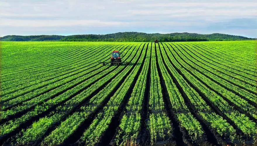 以色列巴格尔开启功能肥新纪元!_肥料_类产品_农业