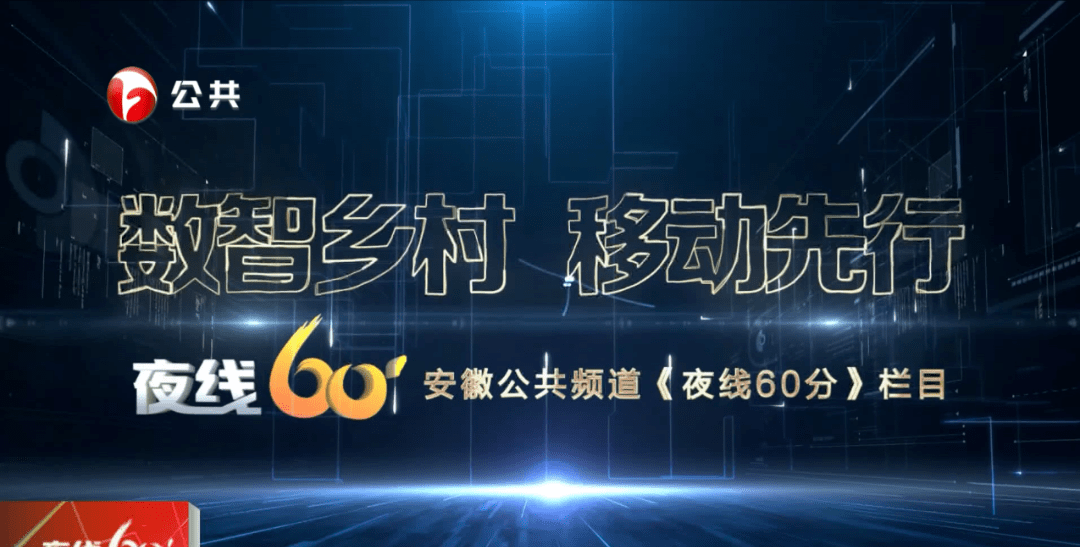 安徽广播电视台公共频道《夜线60分》对此进行了专题报道:12月11日