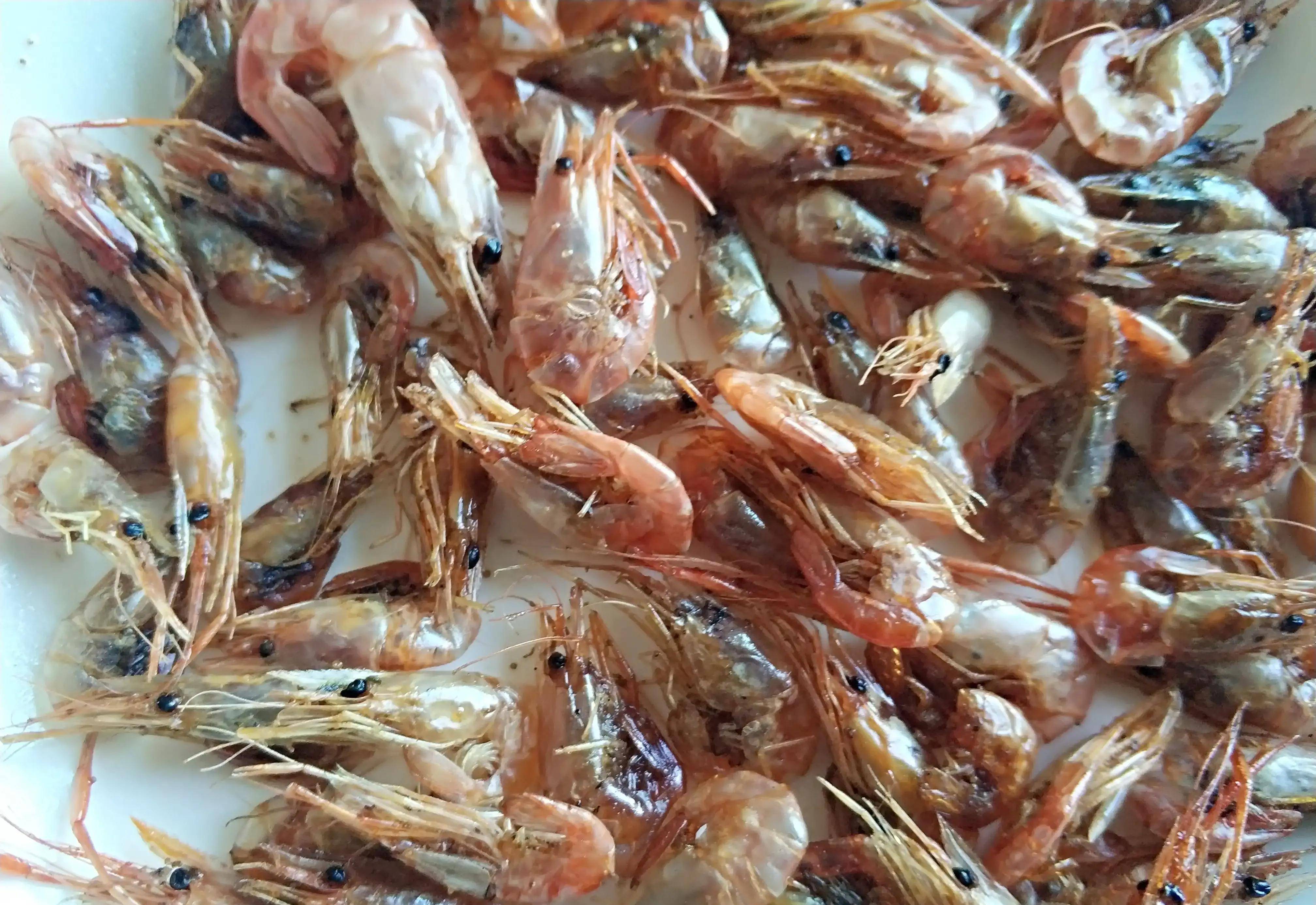 农村生活下地笼捕虾最好地方,用什么饵饵最好,据小邓了解说一说_诱饵