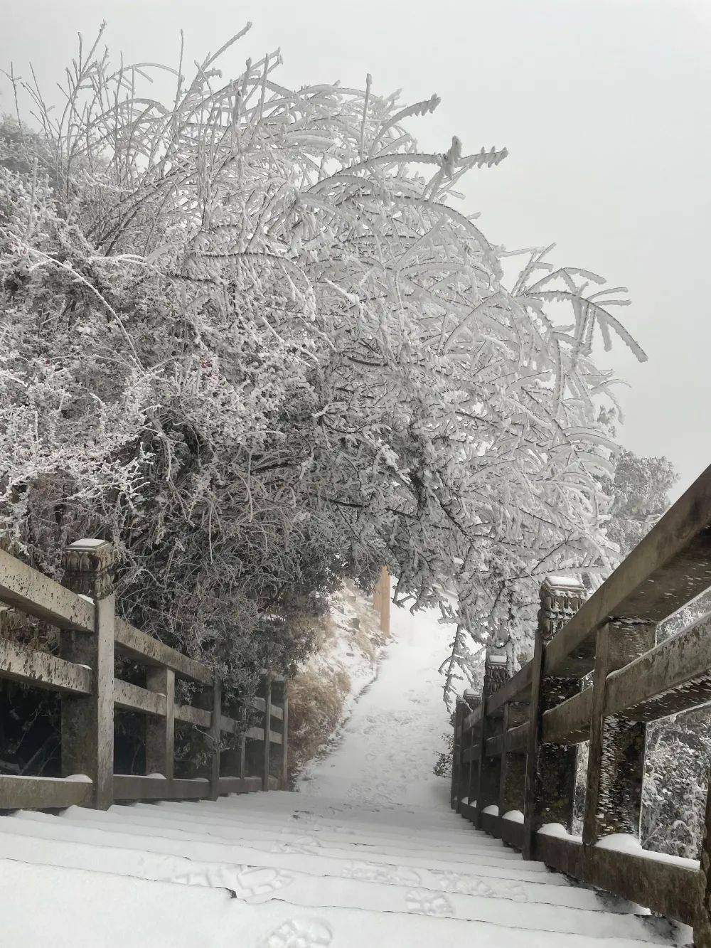 鸡足山雪景图图片