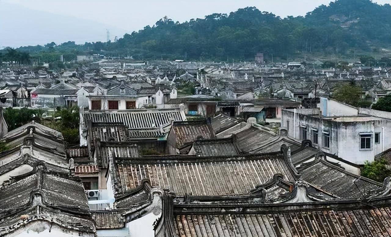 这个村庄就是广东潮汕普宁市东部的大长陇村.