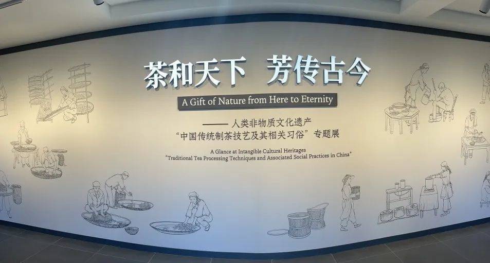 中国传统制茶技艺及相关习俗的成功申遗对于茶文化的保护与发展来说