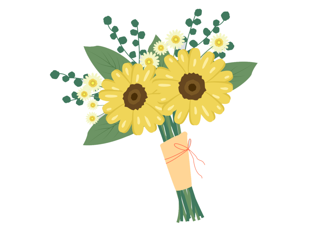 255个夸人的成语，背完夸人不重样！_搜狐网