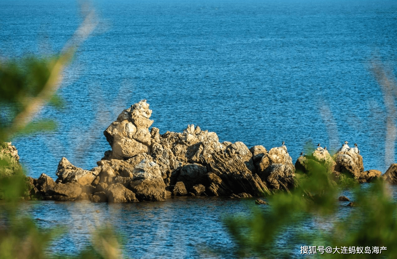 国家3a景区蚂蚁岛,大连海岛旅游新地标_休闲_全国_渔业
