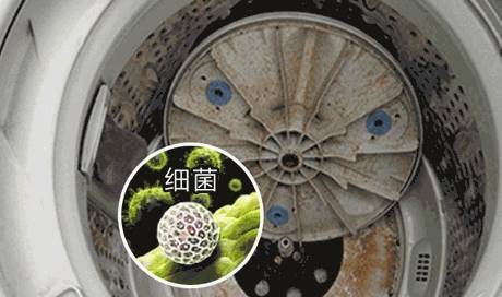 疾病控制中心对使用6个月以上的洗衣机,做过细菌污染抽样调查.