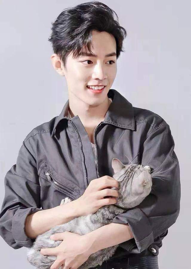 "短腿猫"的学名叫曼基康.虽然腿短,但并不影响它奔跑.