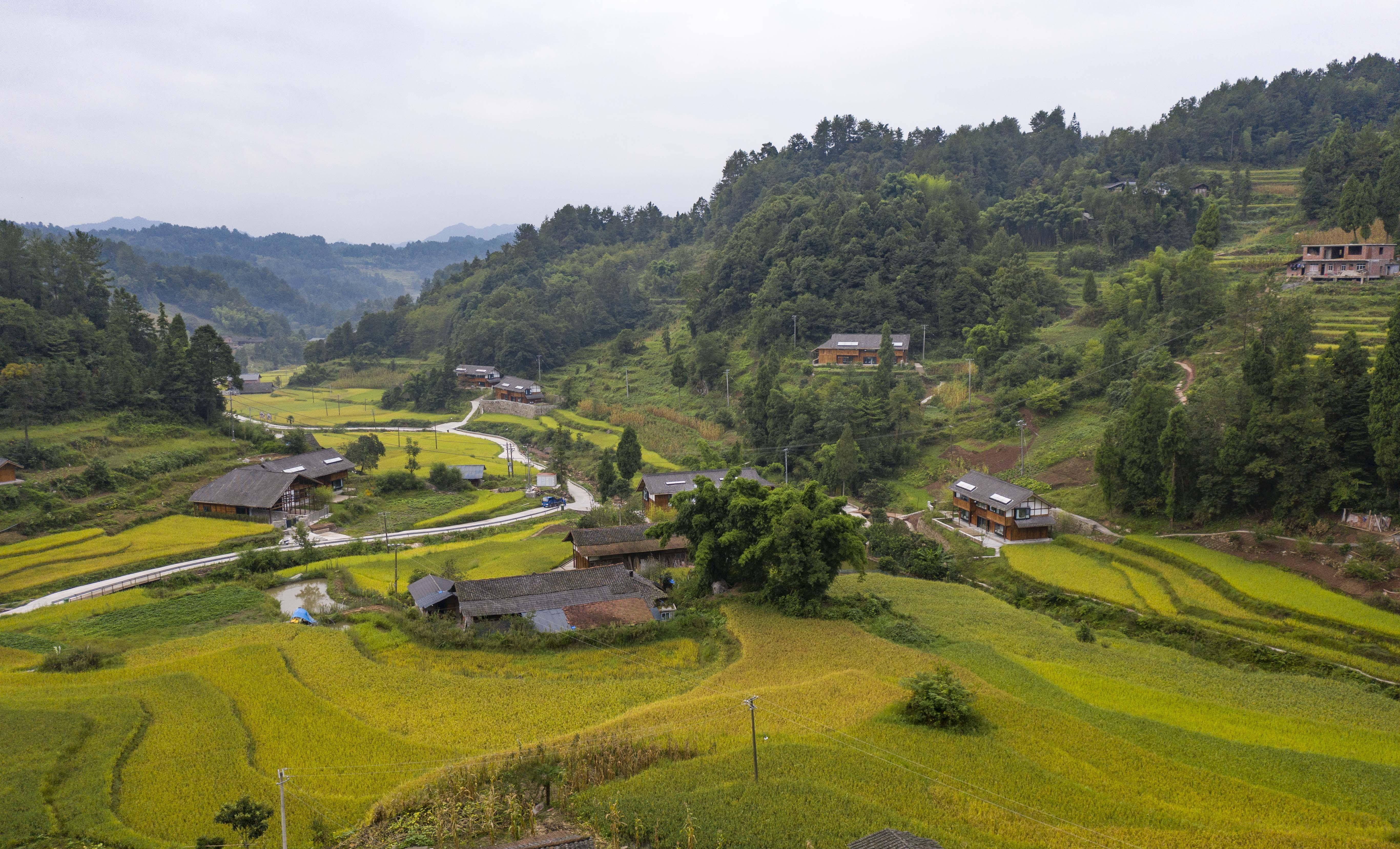 贵州群山间一座原始村落,有美丽的山谷稻田,也有特色的民居建筑