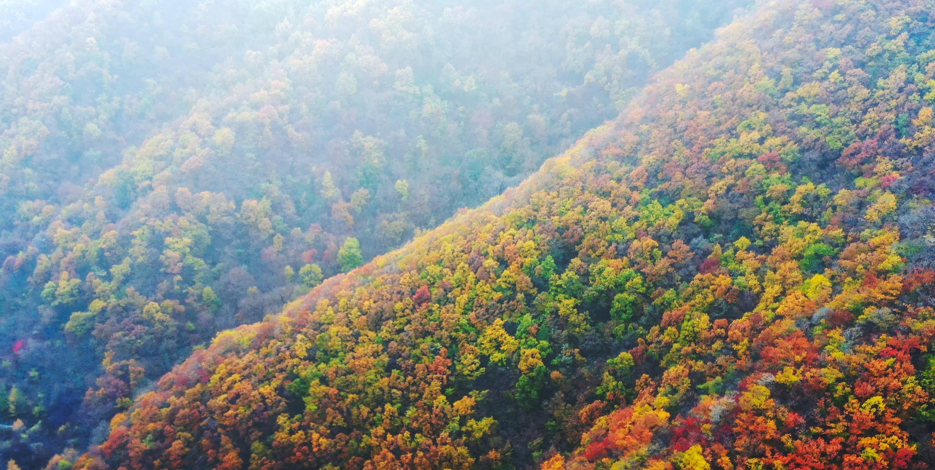 辽阳暴马川风景区门票图片