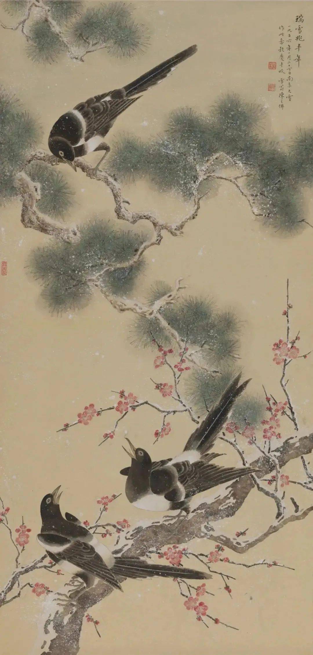 雪翁”笔下的冬日花鸟，无一丝烟火之气！_搜狐网