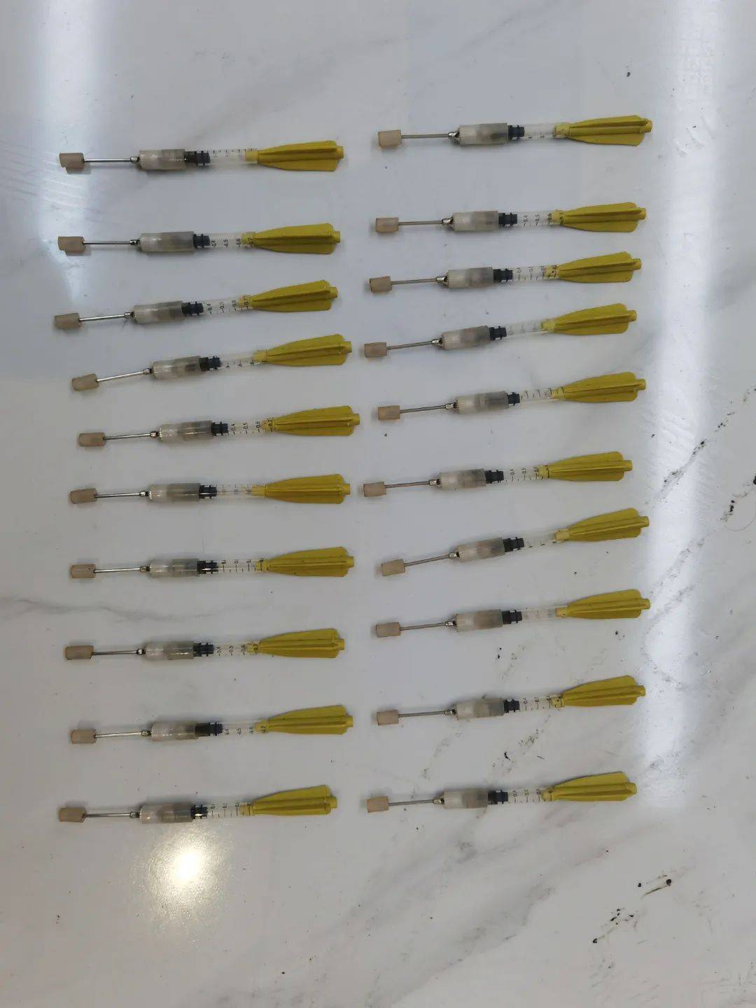 经常德市公安局刑科所鉴定,被扣押的毒死狗肉中均检测出氯化琥珀胆碱