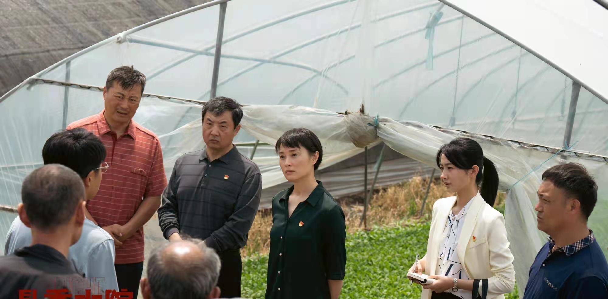 《县委大院》结局:梅晓歌到任期艾鲜枝儿子辞职,林志为打赢官司_刘喜