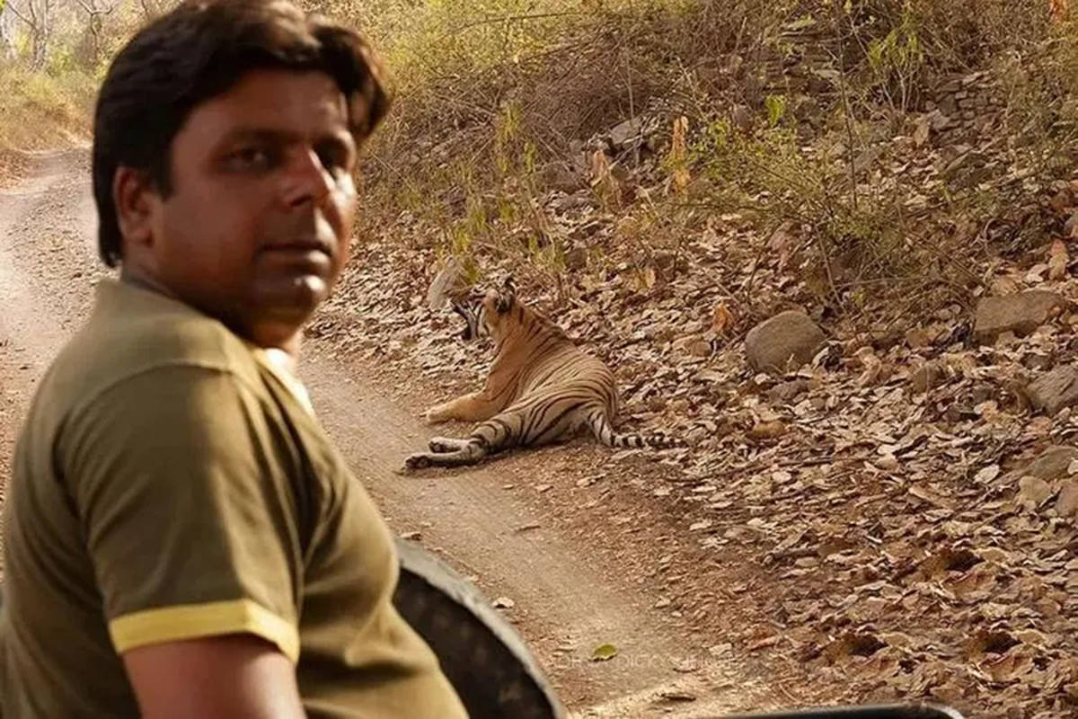 为了生存,兽中之王与人类的巅峰对决_老虎_自然保护区_家畜