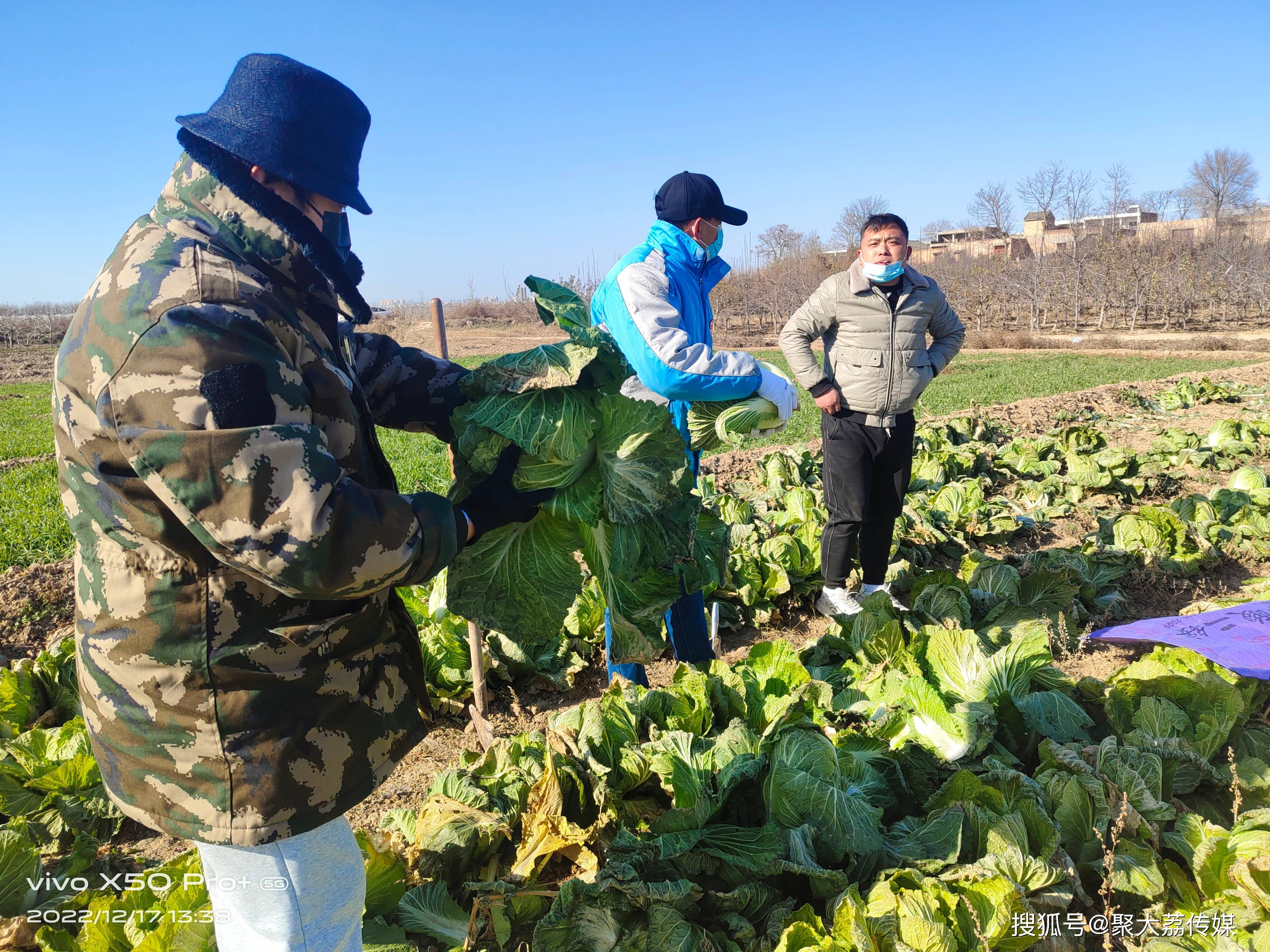 冬日的水果白菜_王超_味道_一大