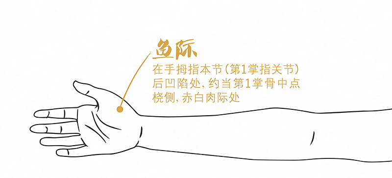 列缺穴的准确位置 来自搜狐网