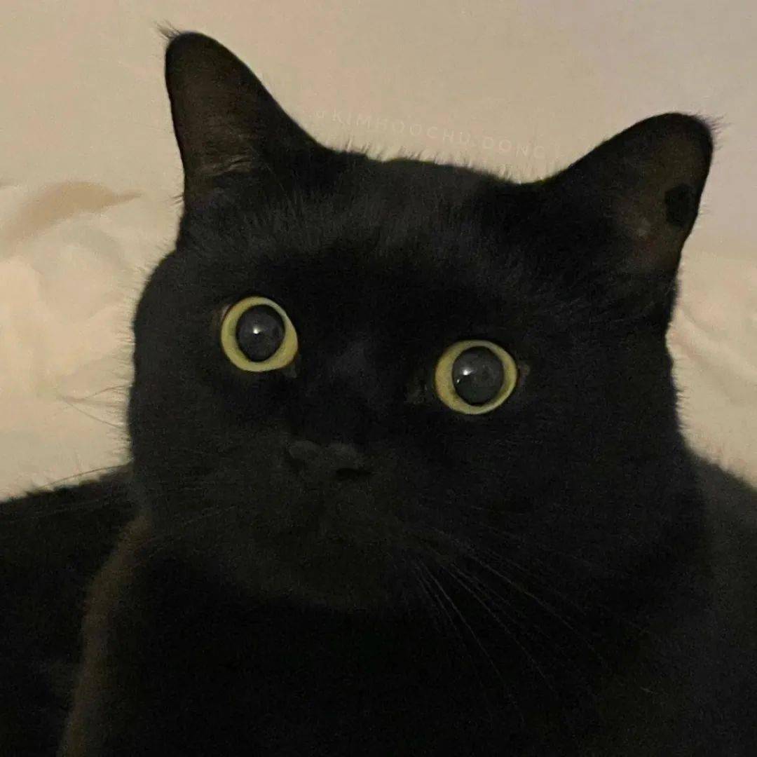 头像:好难受 浑身疼 还以为阳了 赶紧测了一下