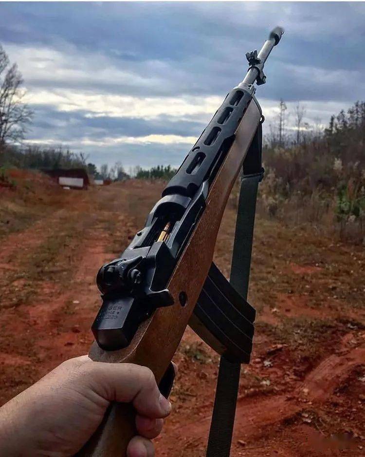 mini14轻型步枪图片