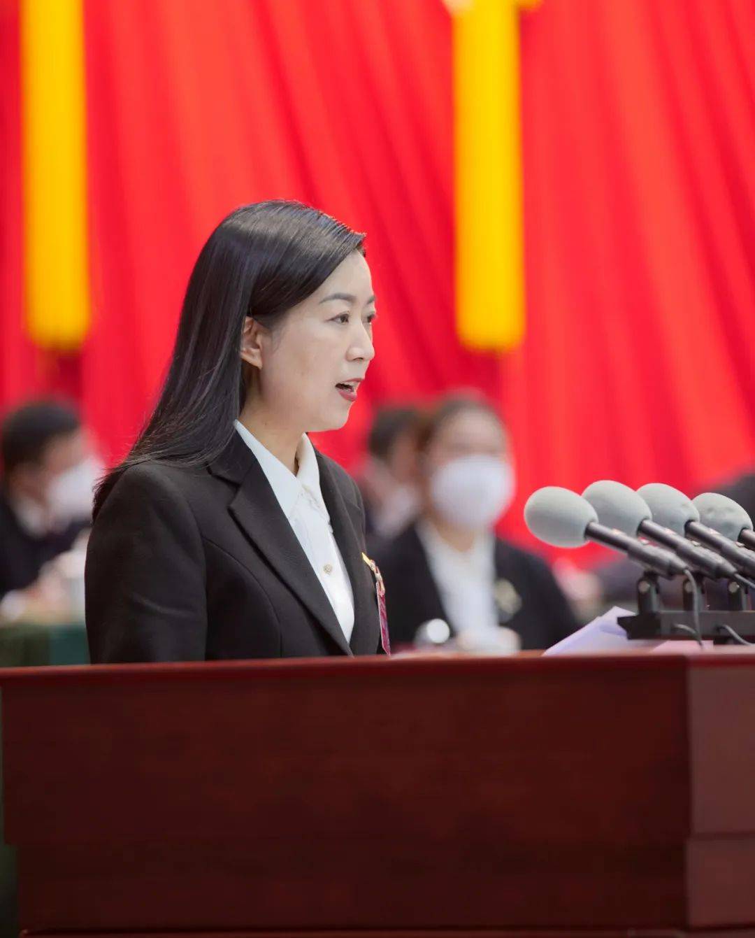 政协巫溪县第十一届委员会第二次会议隆重开幕_工作_提案_县政协