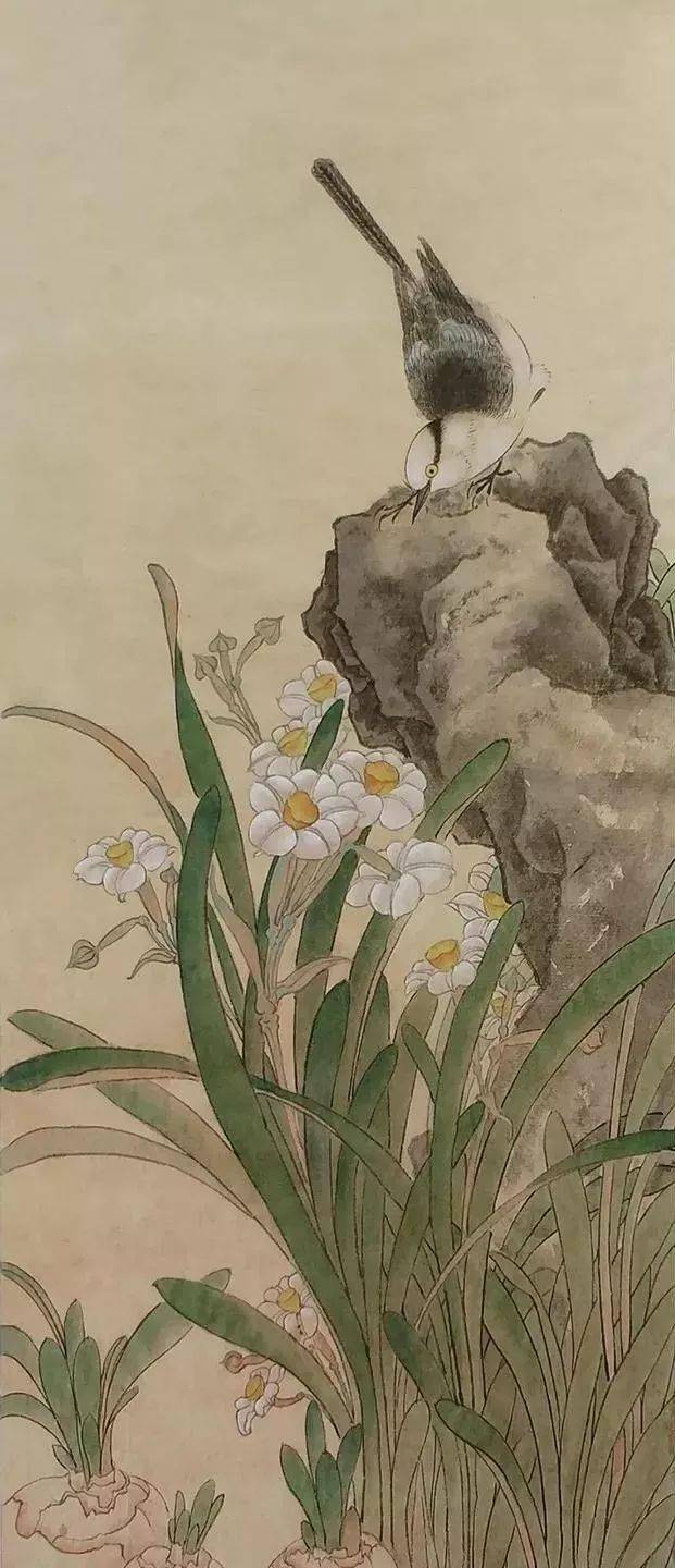 工笔《水仙鹡鸰图》画法步骤_国画_白色_黑色
