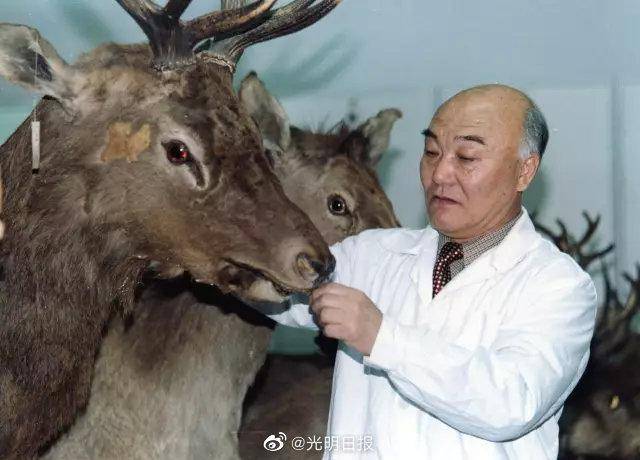 野生动物学专家、中国工程院院士马建章逝世
