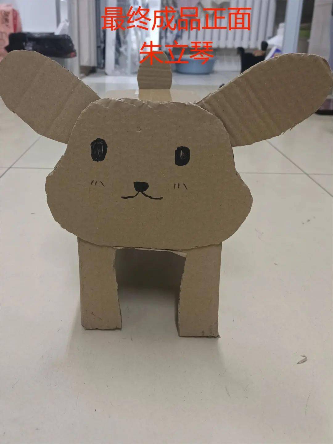 第三届环保大赛作品投票开始啦快来pick你喜欢的猫窝和小狗吧