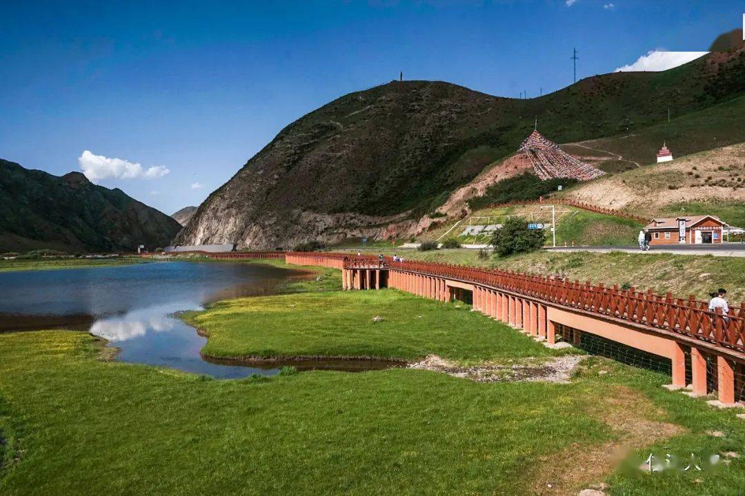 甘南:桑科 · 郭莽湿地_夏河_拉卜楞寺_公园