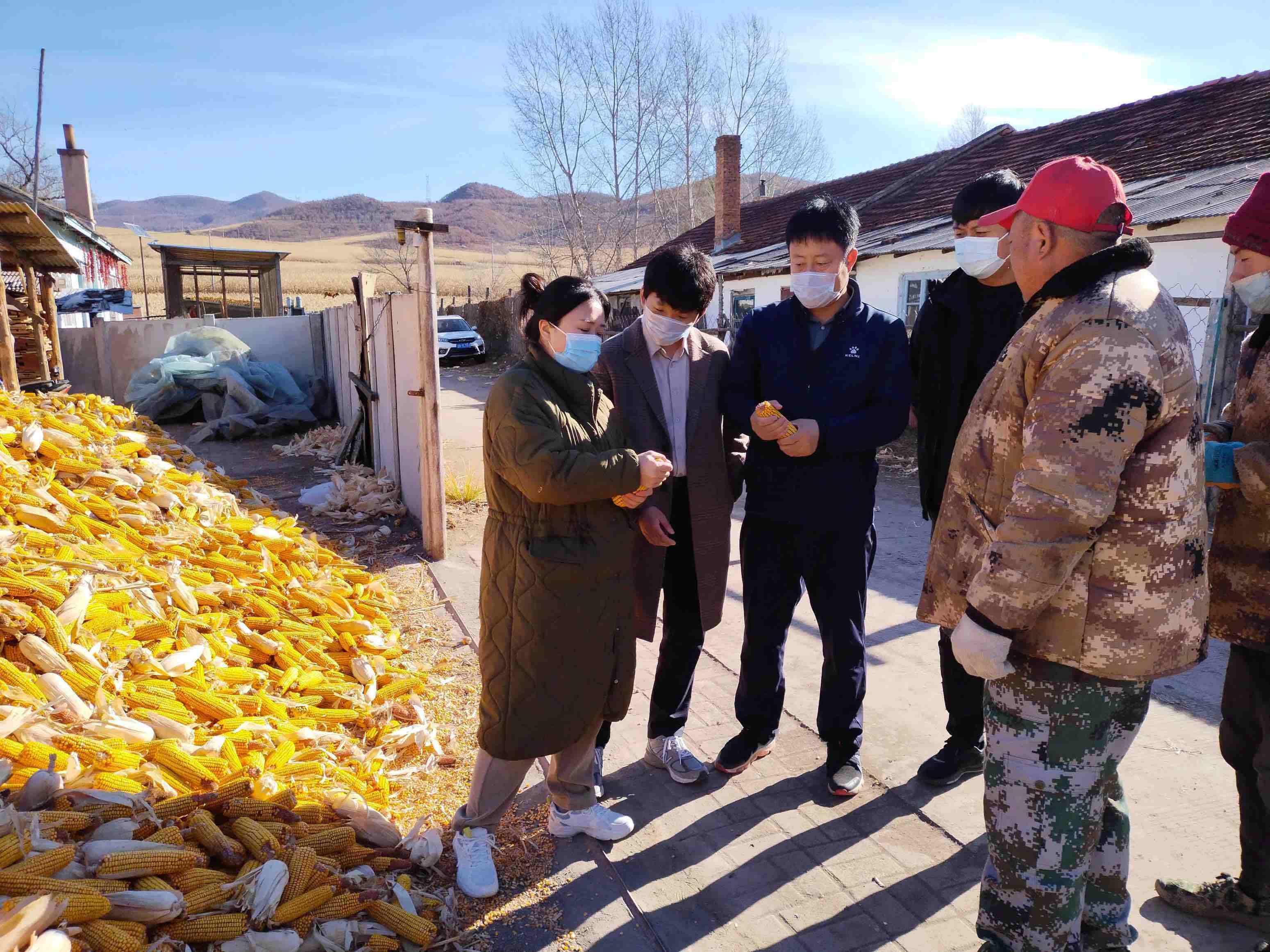 和龙市龙城镇:乡村振兴指导员助力乡村振兴"加速度"_工作_保障_培训