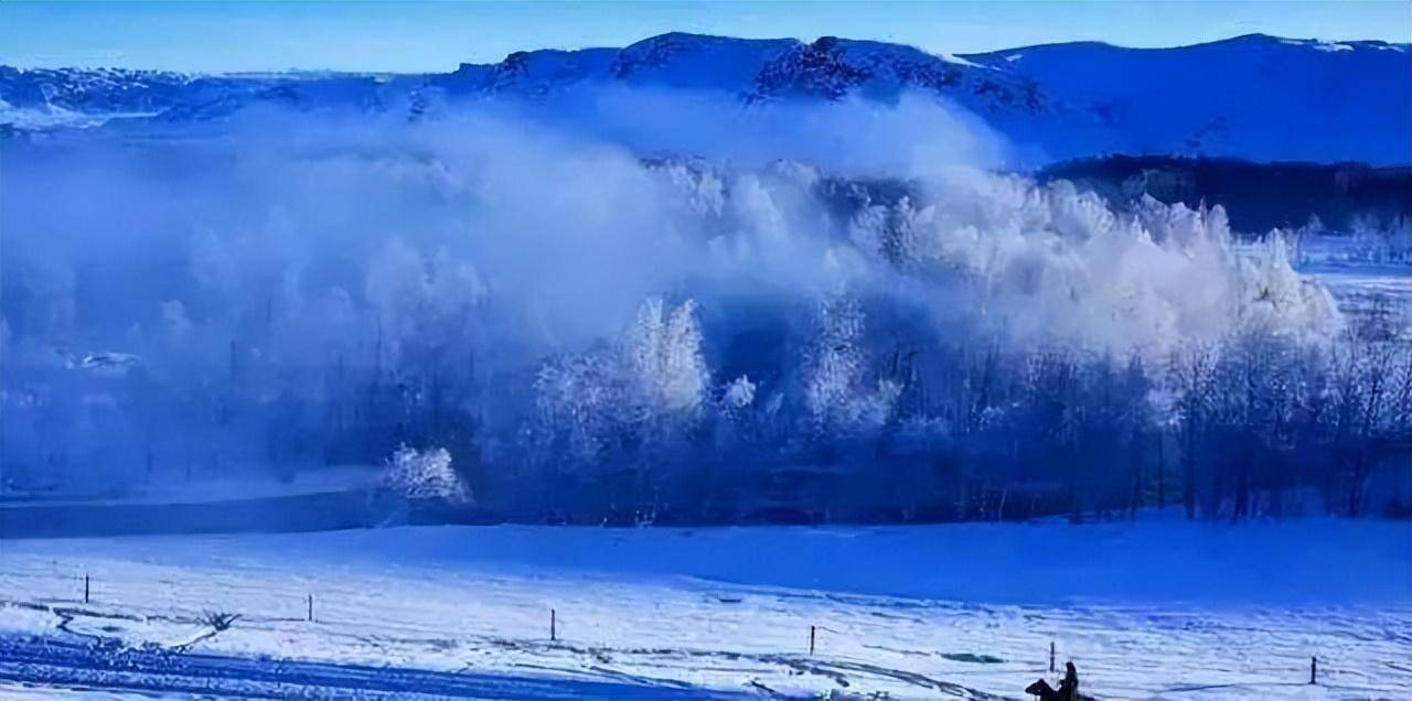 雪原之青壁纸图片