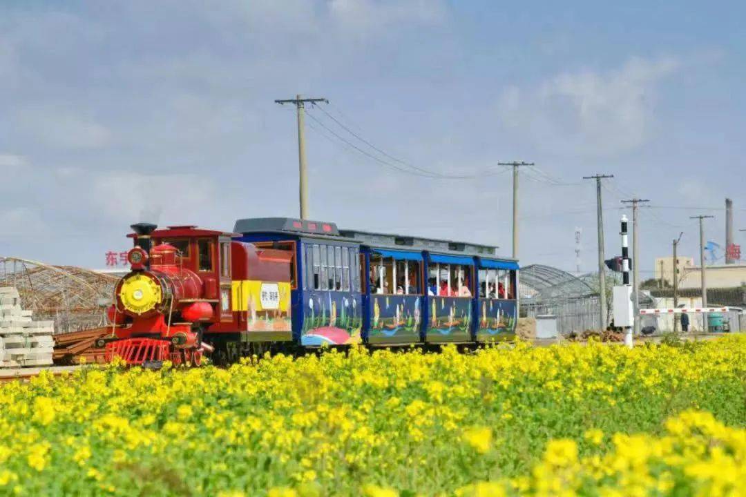 "展茅街道黄杨尖村""东极镇东极村",入选浙江省第二批未来乡村_普陀