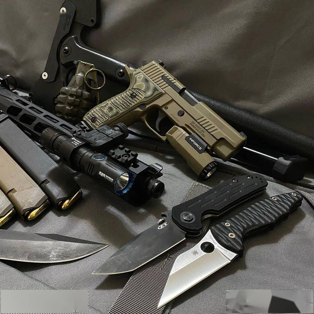 【经典之美】西格绍尔公司p226手枪美图_战术_公众_备份