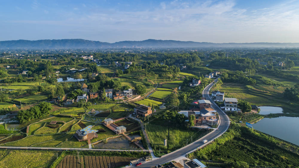 荣昌隆昌联手打造智慧猪场 2025年"双昌"合作园将出栏生猪20万头_产业