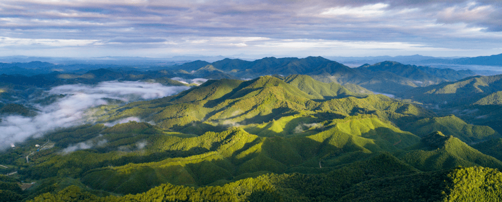 这个元旦假期就去打卡赣州信丰的这些景点吧!_香山_休闲_湿地