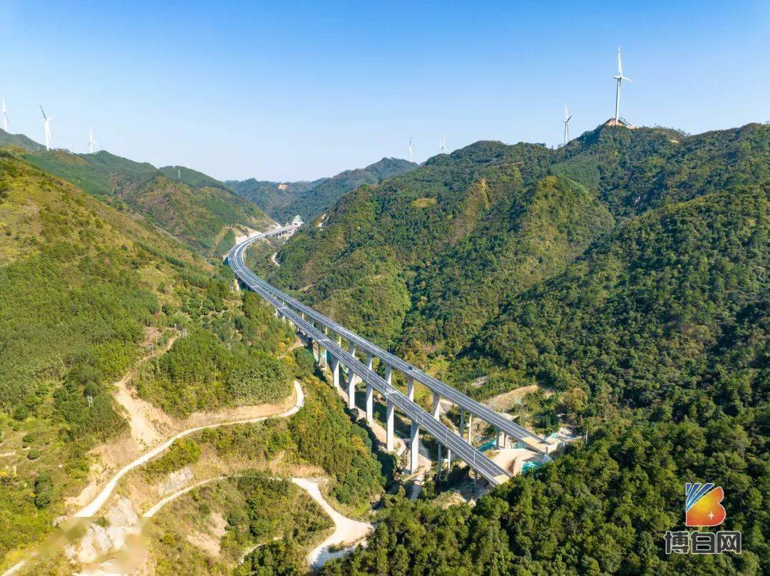 实施并成立广西中交浦清高速公路有限公司为建设业主方负责具体投融资