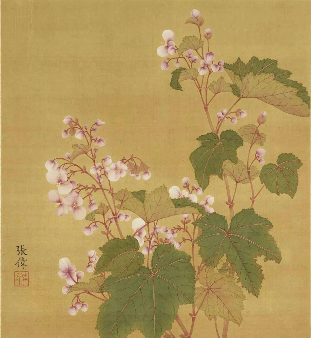 清代画家张伟写生花卉册,美不胜收_恽寿平_金凤_石渠