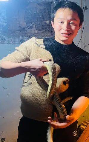 毛自然的十年养蛇路:从"毛不易"到"毛容易"_养殖_襄阳_专业