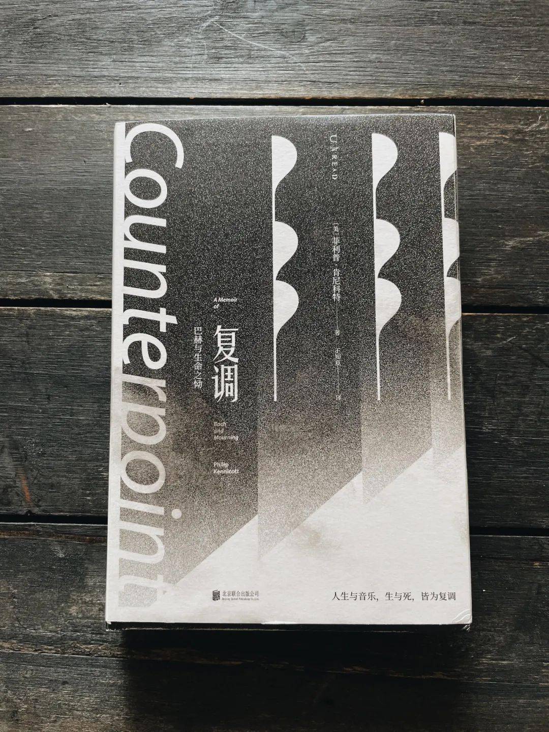 672022年我最喜欢的10本书_patti_smith_故事