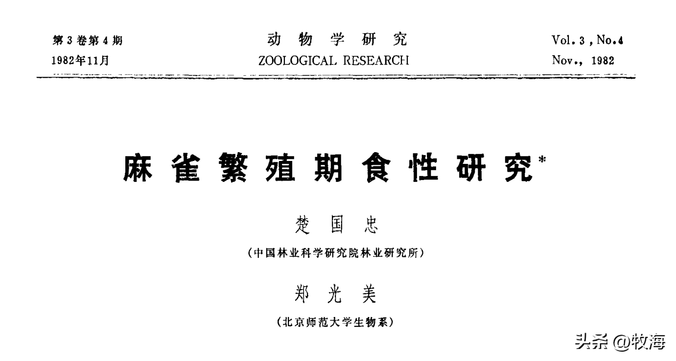 农村的麻雀数量众多,为什么尸体却很少见?_寿命_自然_生活