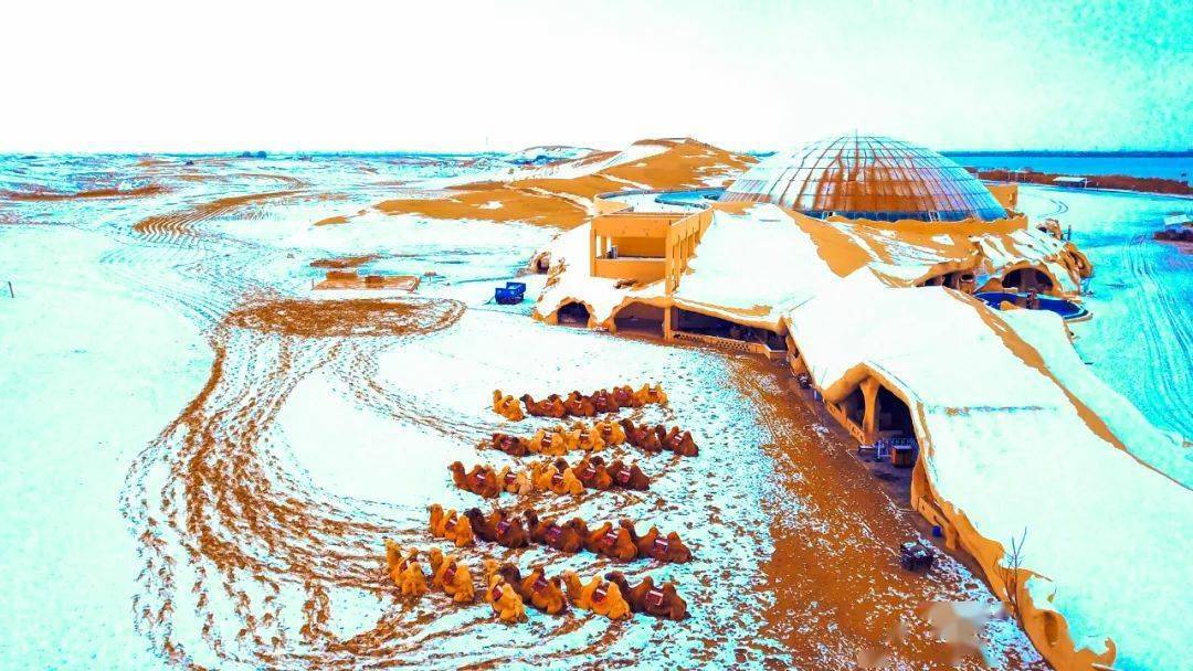 冬游沙湖免门票,破冰美食观天鹅_游客_宁夏_景区