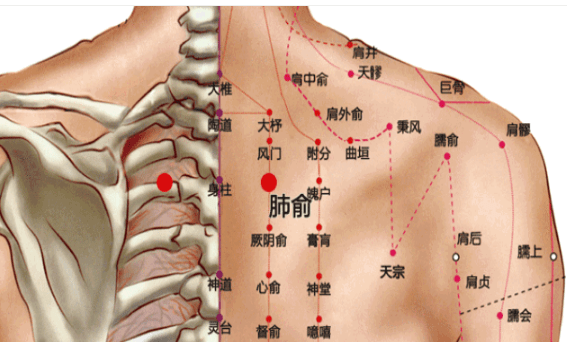 朋友_感觉_中府