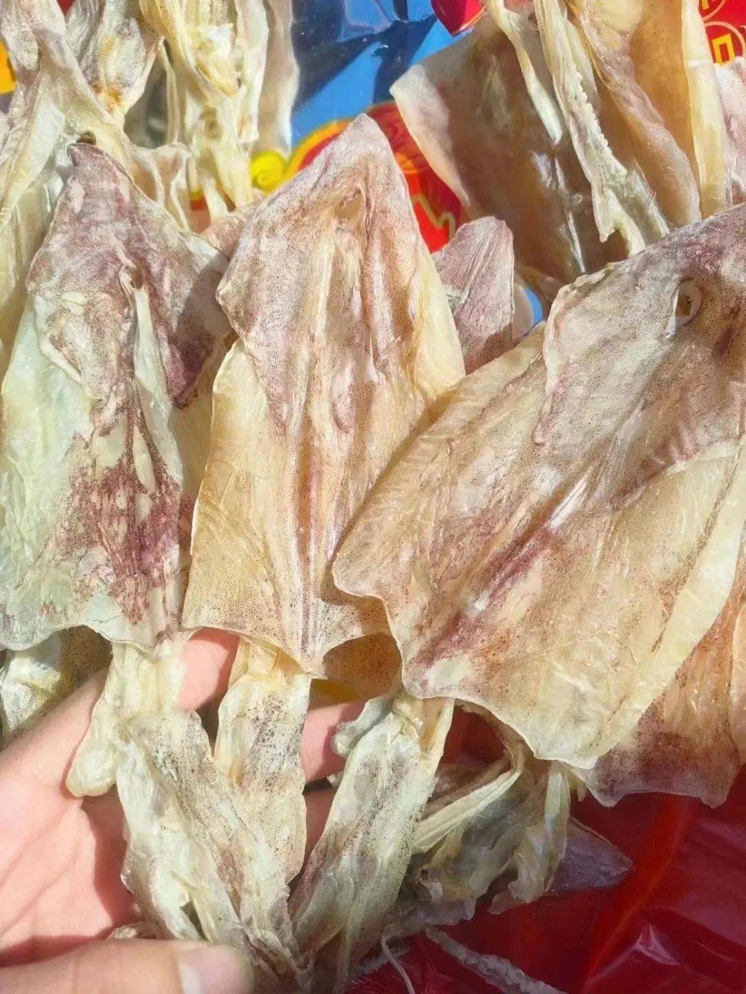 真假海马干