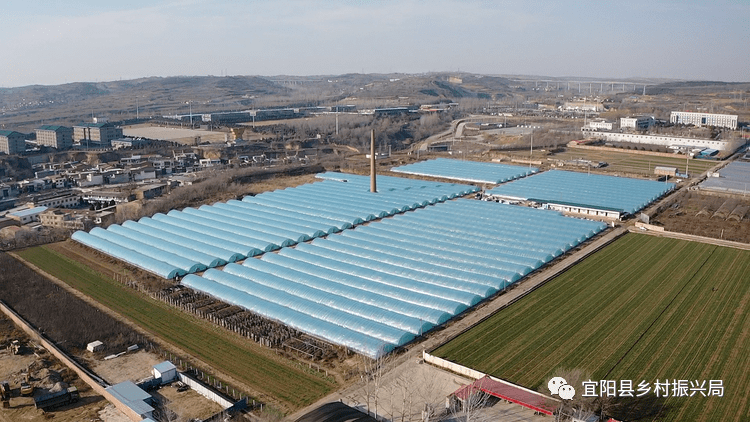 香鹿山镇:奏响甘棠"五星"曲 绘就乡村新画卷