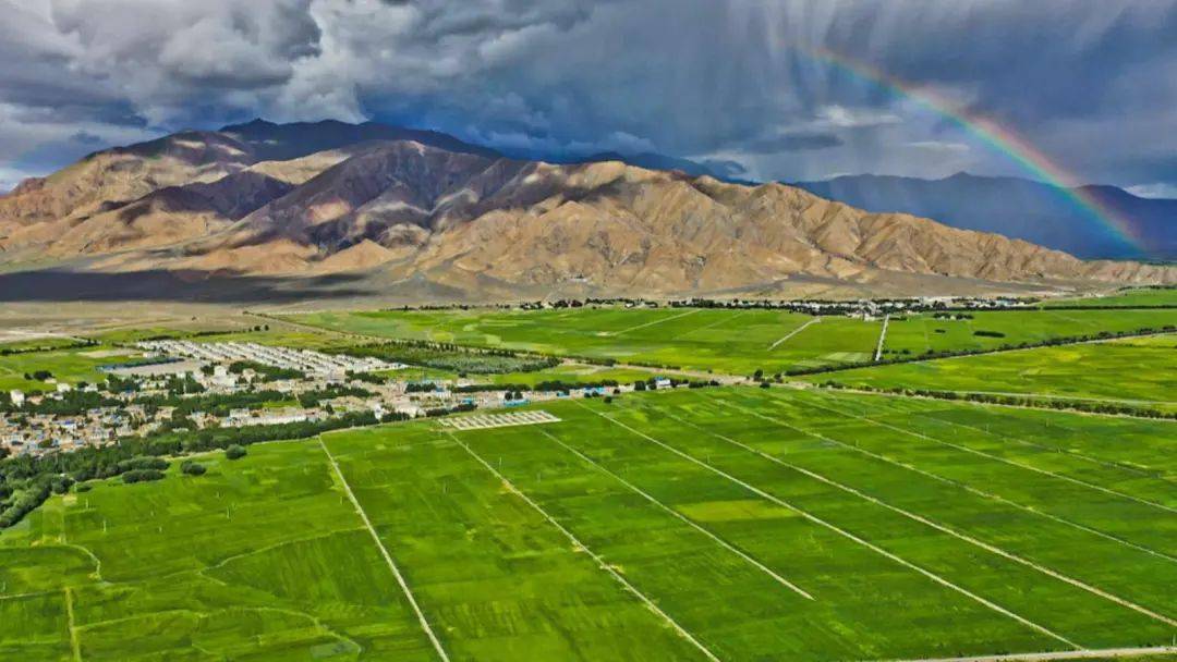 白朗县高端网站建设_(白朗县新领导班子调整)