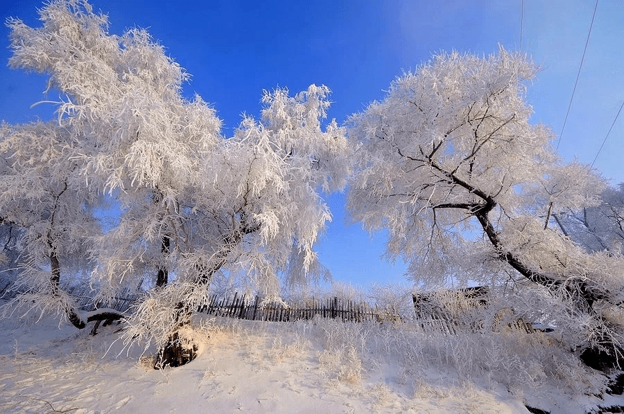 甘肃定西雪景图片