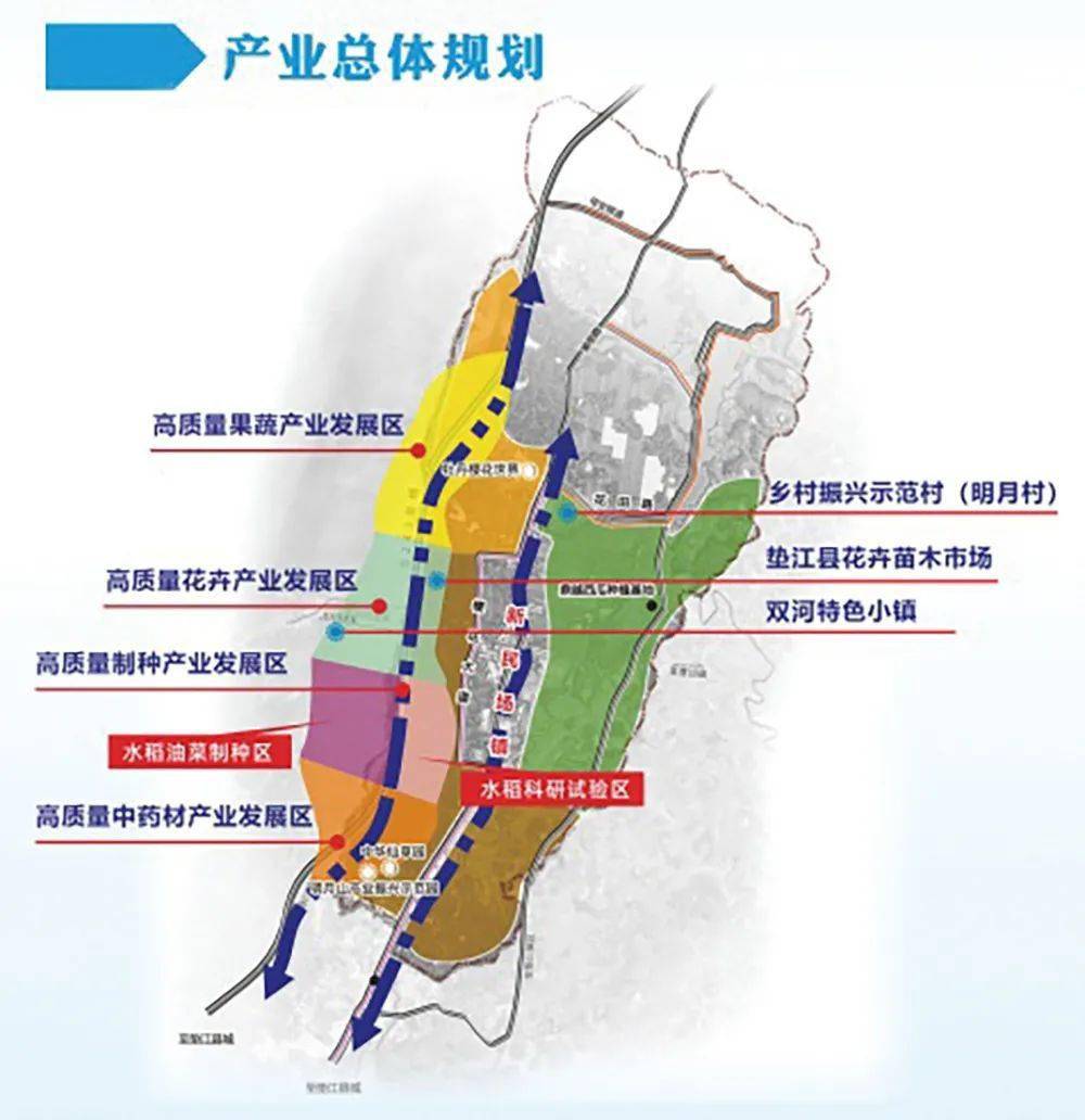 垫江县最新交通规划图图片