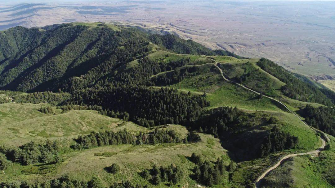 "红寺堡区农民作家马慧娟说,红寺堡区是我国最大的易地搬迁生态移民