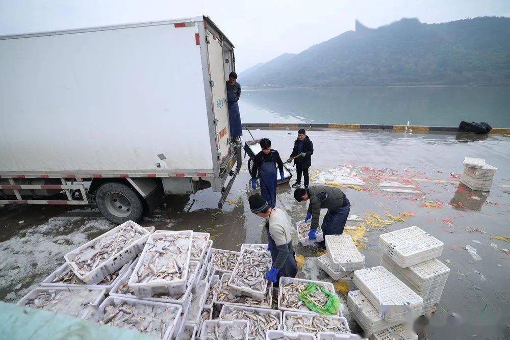 奉化区莼湖街道的桐照码头和双山码头,距离宁波市区约1小时车程.