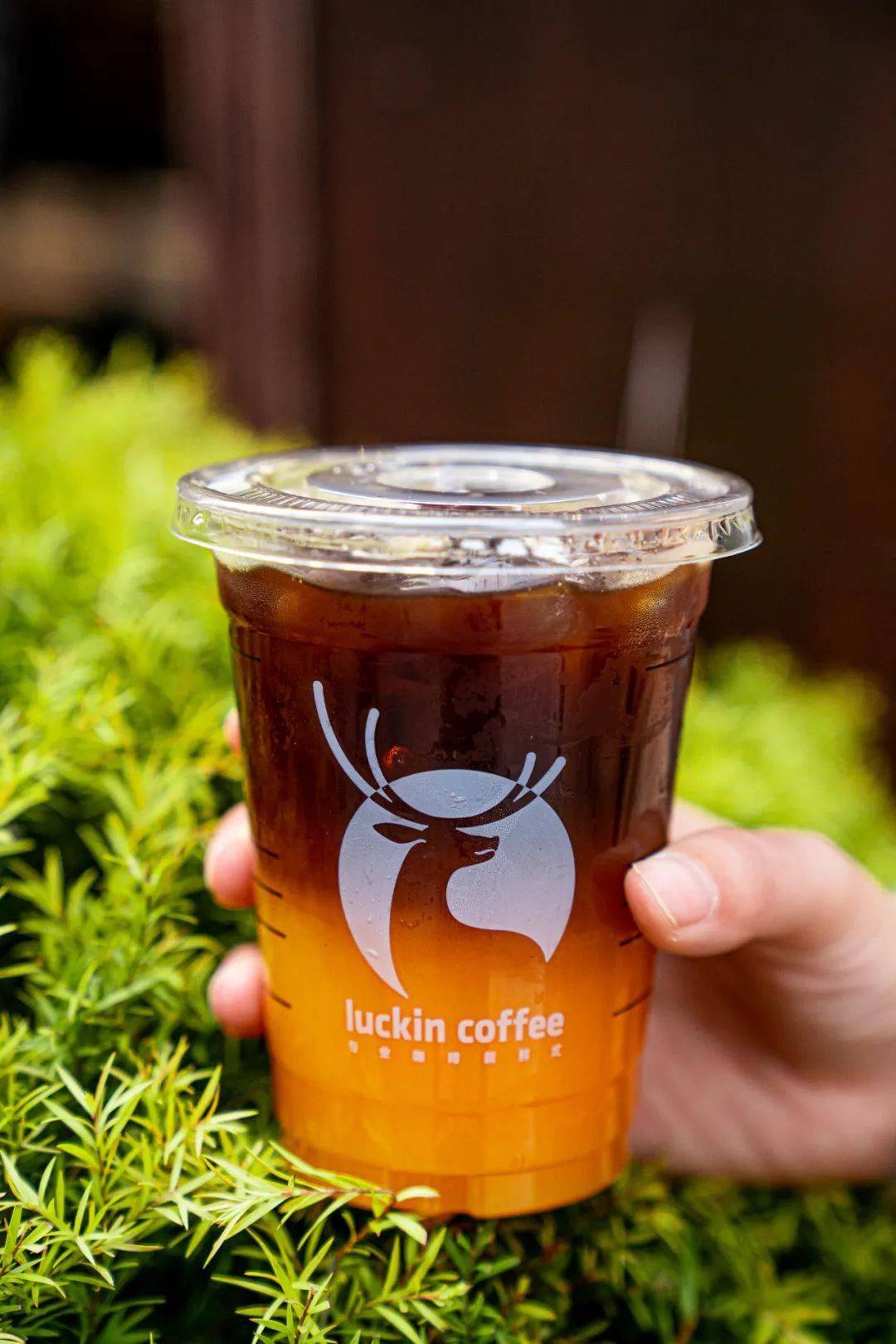 强烈推荐给所有的美式党!