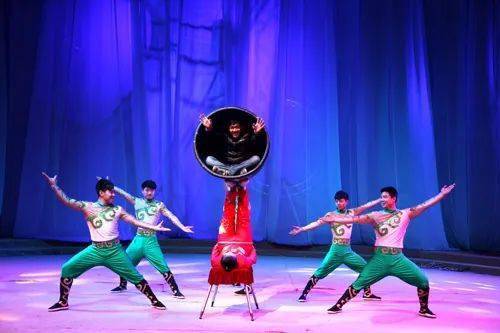 脚蹬大缸等更有动物伙伴还可以与小丑互动有惊险刺激的高难度杂技看